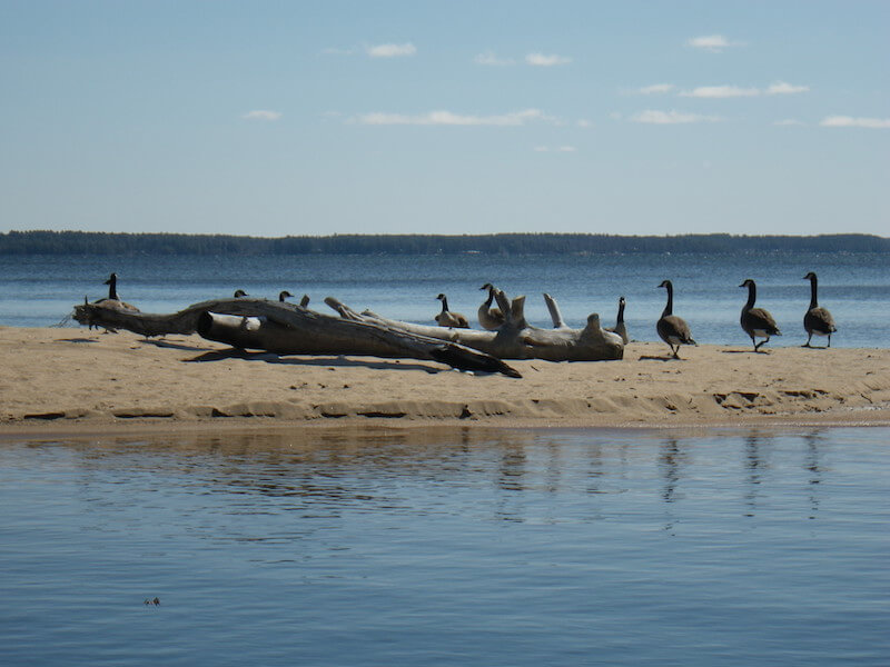 sebago-lake-sandbar